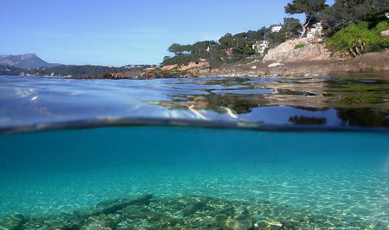 Magnifique Petit Cocon Bord De Mer Le Pradet Esterno foto