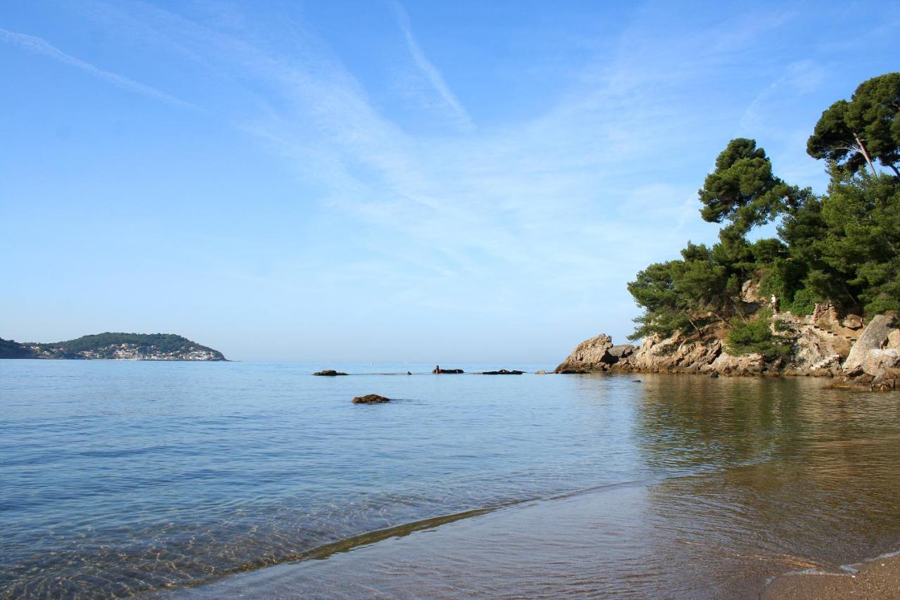 Magnifique Petit Cocon Bord De Mer Le Pradet Esterno foto